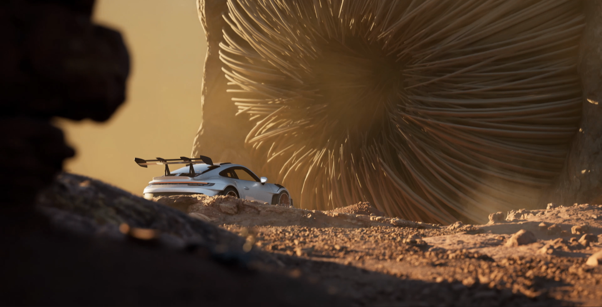 Dune Recreation